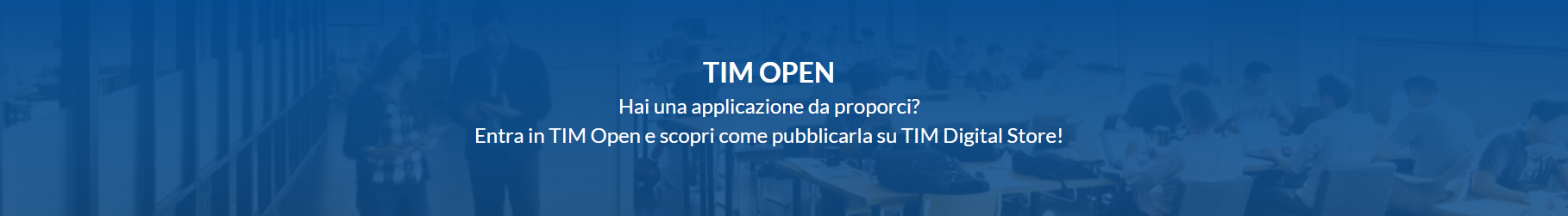 Tim Open